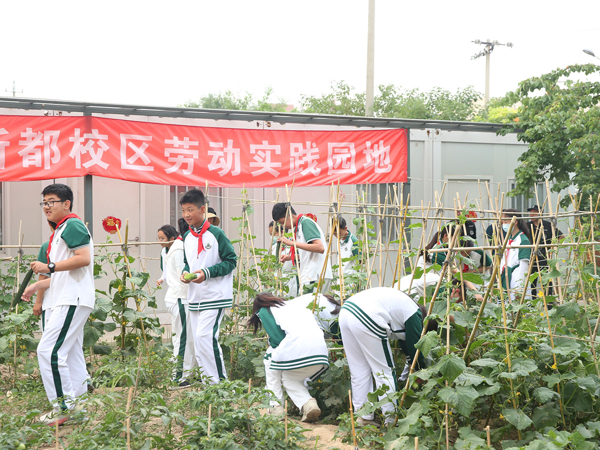 实践活动