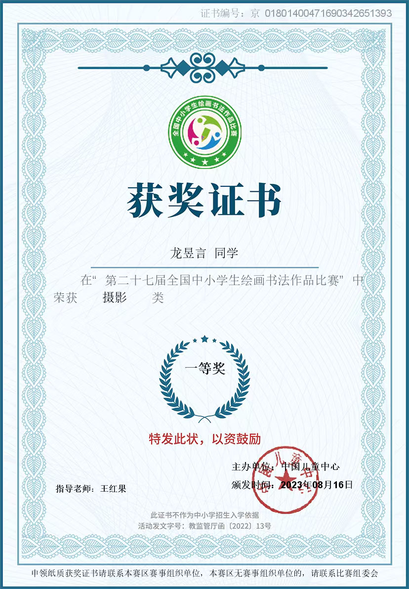 “第二十七届全国中小学生绘画书法作品比赛 一等奖